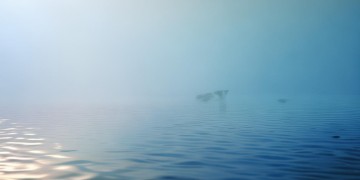 水也隔着水究竟是哪首歌？