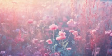 额吉那额吉那究竟是什么歌？