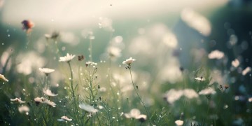 越笑我越高兴究竟是哪首歌？