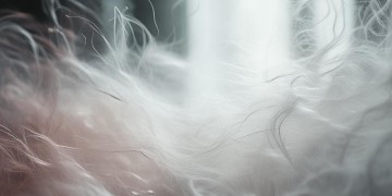 当头发渐渐变白究竟是哪首歌？