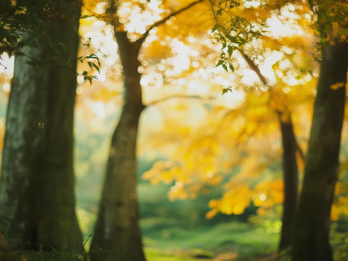 疾风笑颜林俊杰到底指的是哪首歌? 疾风笑颜林俊杰到底指的是哪首歌?