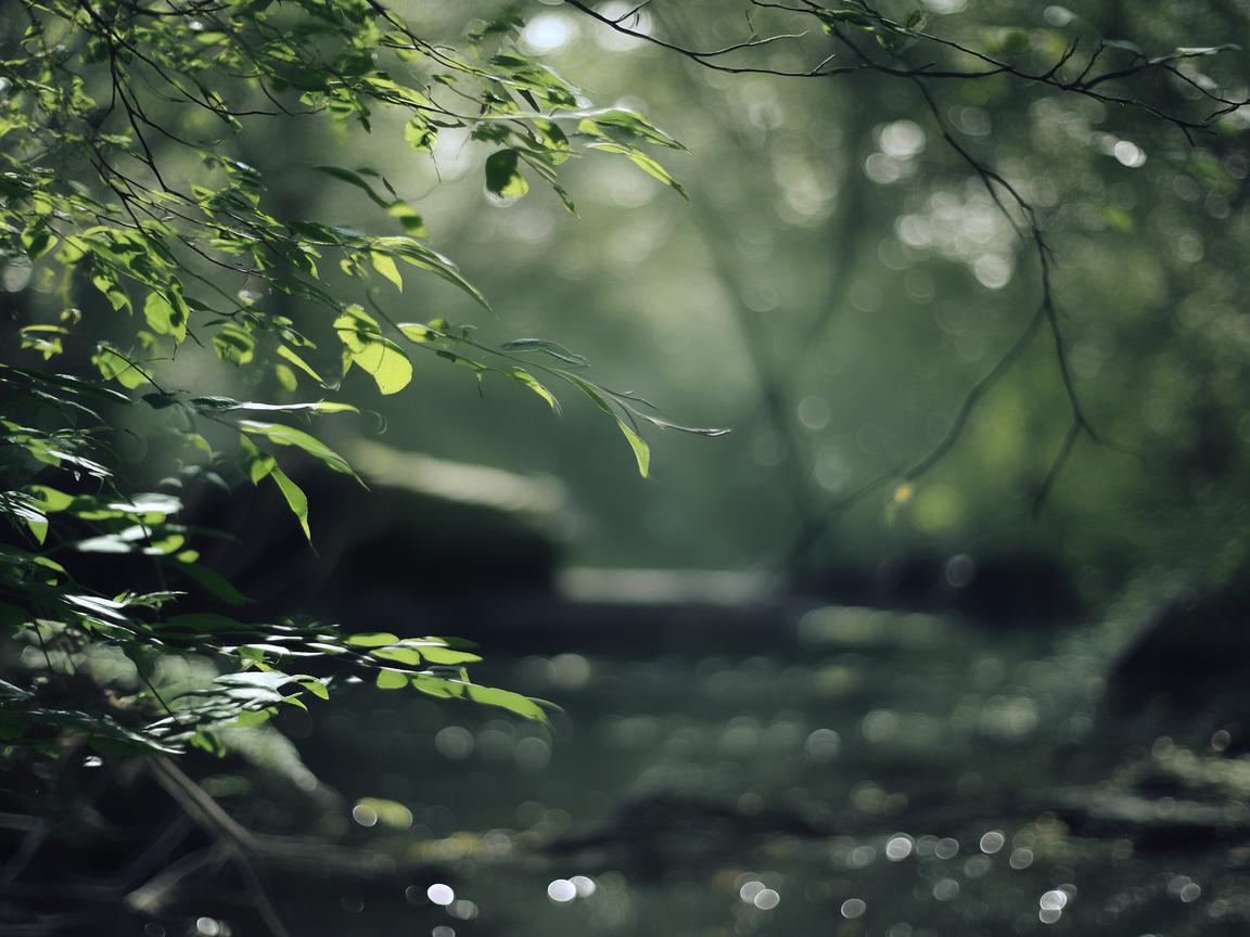 穷叉叉这首歌到底是什么歌? 穷叉叉这首歌到底是什么歌?