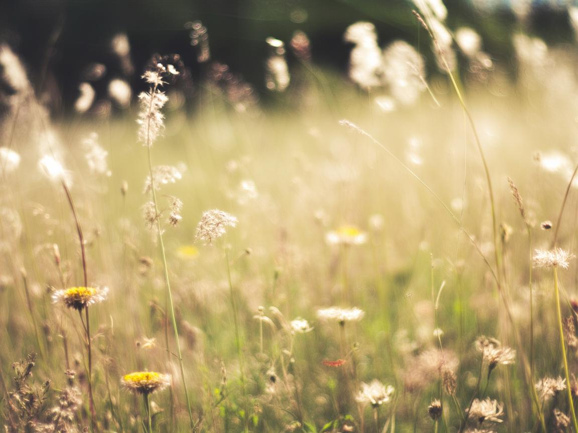 停止时光究竟是哪首歌? 停止时光究竟是哪首歌?