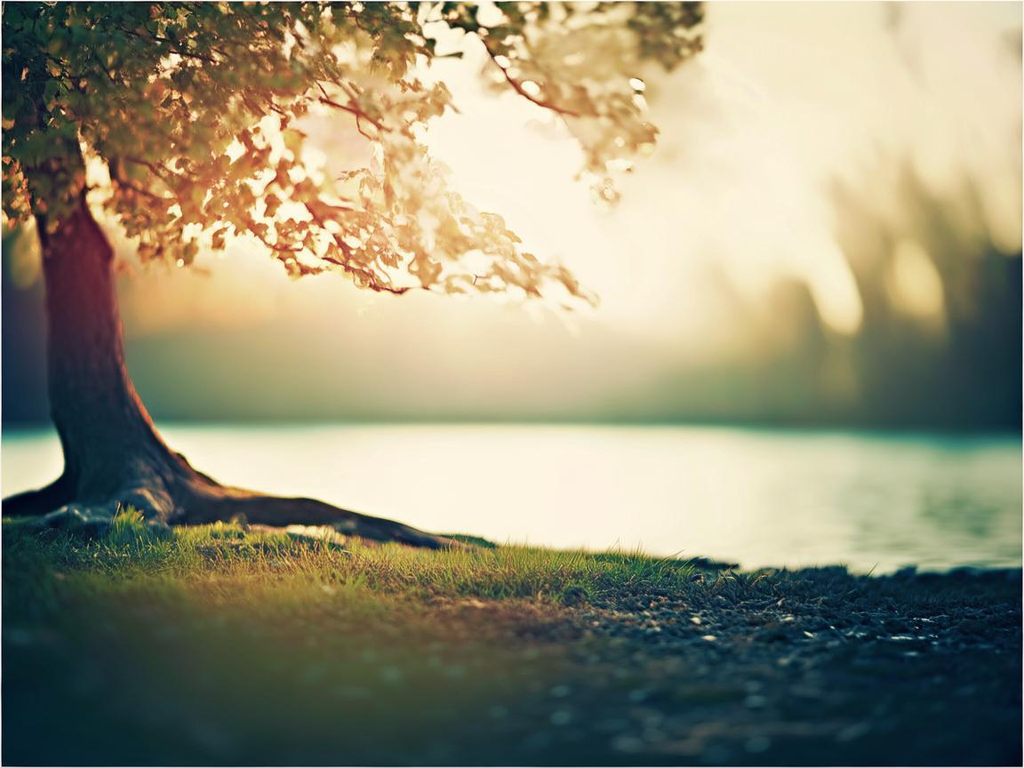 离开就是不舍到底是哪首歌? 离开就是不舍到底是哪首歌?