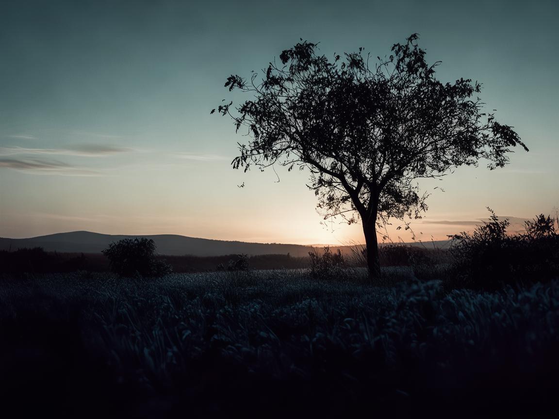 再绝望也不要放弃究竟是哪首歌? 再绝望也不要放弃究竟是哪首歌?