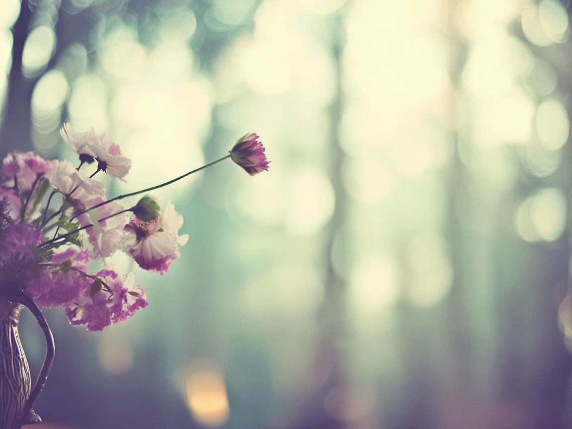 情感要不要放手究竟是哪首歌? 情感要不要放手究竟是哪首歌?