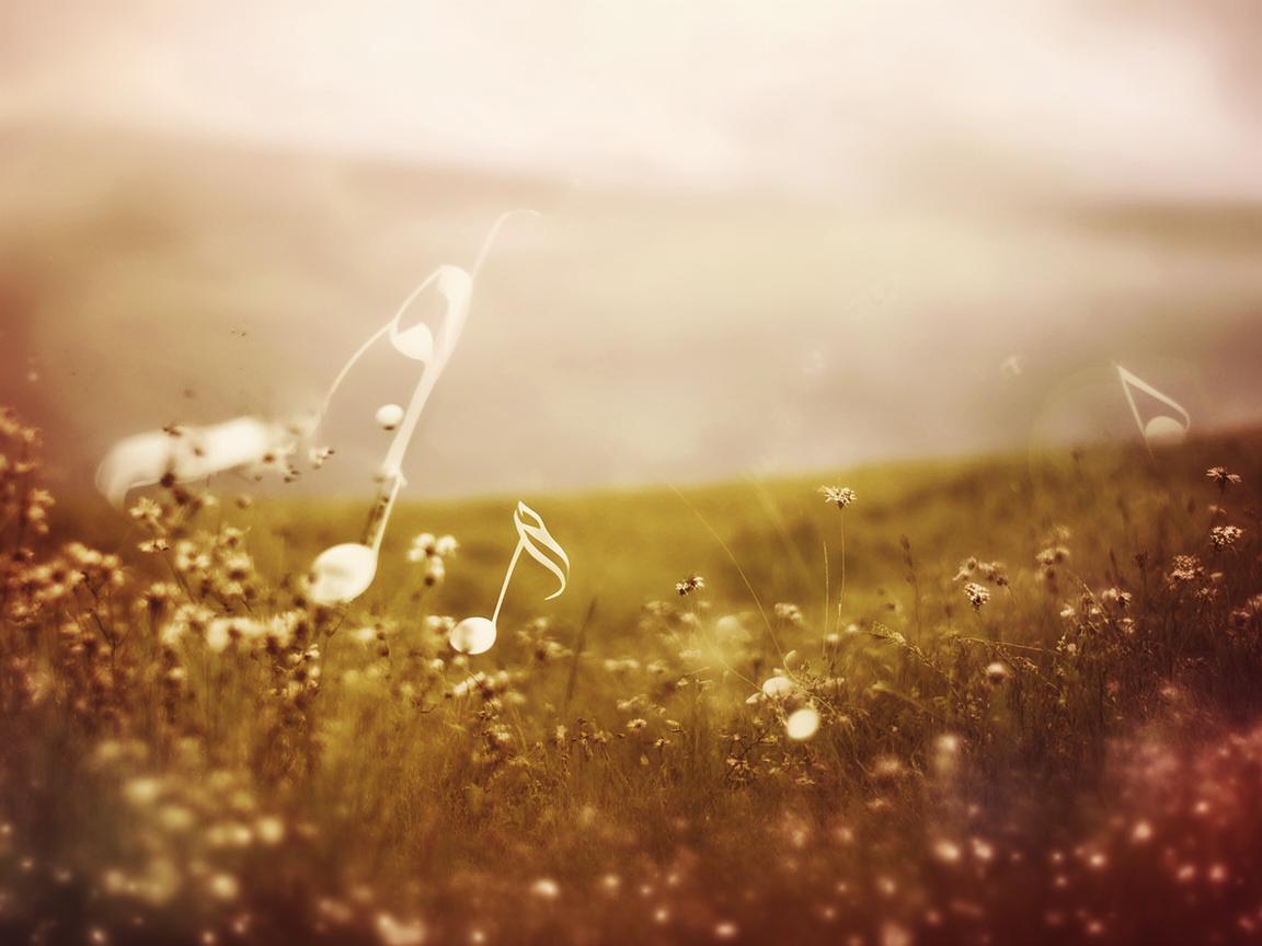 我那么无奈出自哪首歌呢? 我那么无奈出自哪首歌呢?