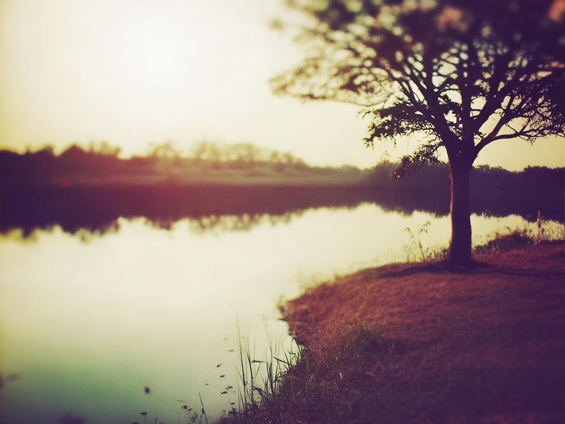 爱让我很疲惫究竟是哪首歌? 爱让我很疲惫究竟是哪首歌?