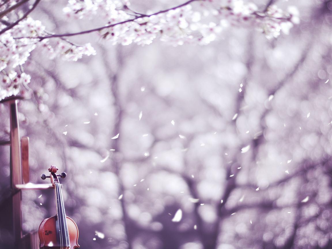 我的爱情很简单到底是哪首歌? 我的爱情很简单到底是哪首歌?