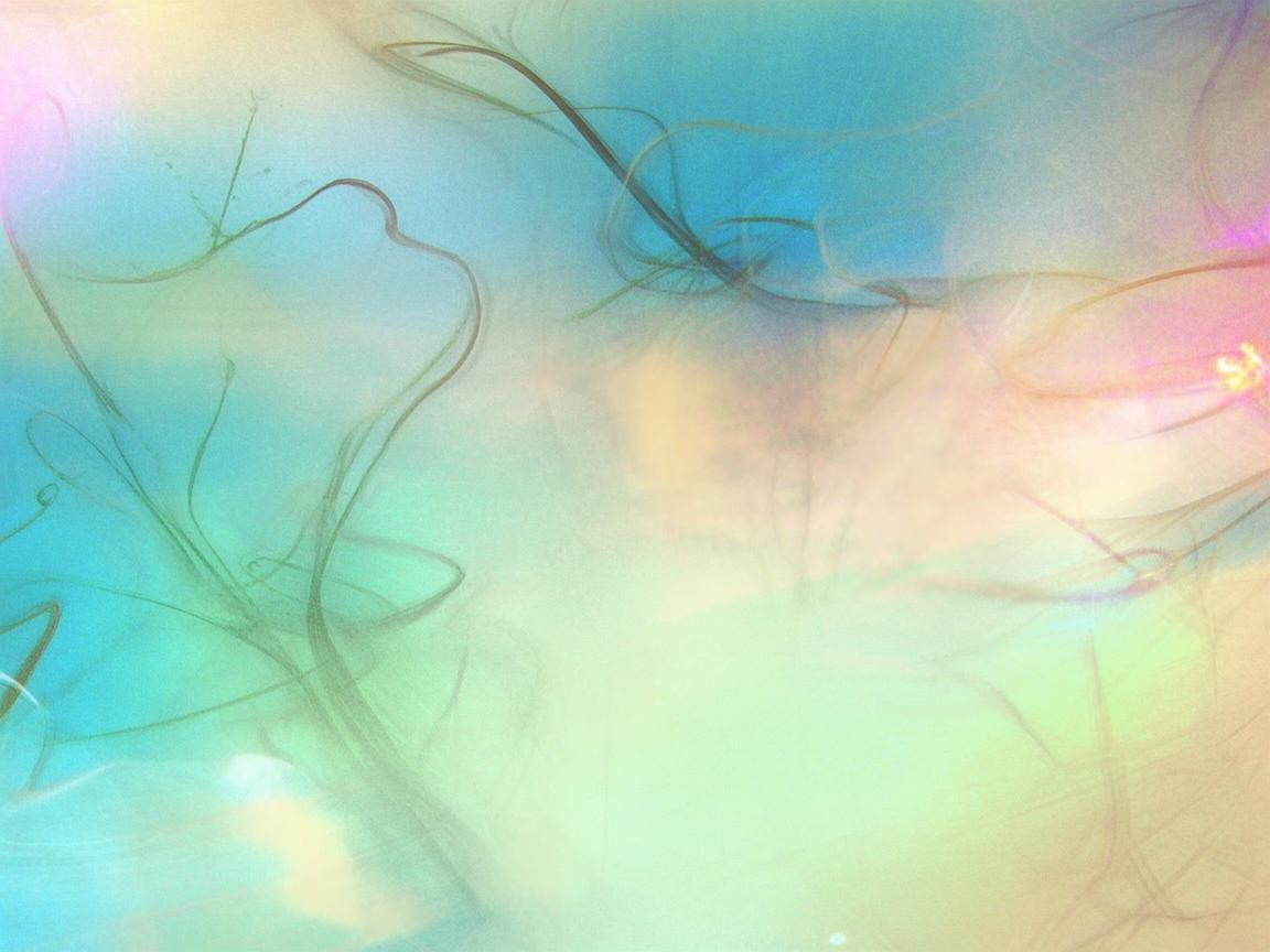 Cilicili到底是什么歌? Cilicili到底是什么歌?