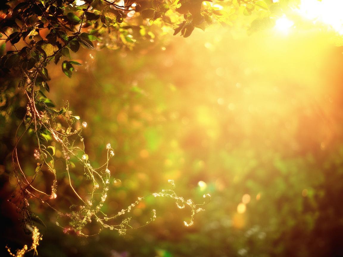 午后的暖阳和思念究竟是哪首歌? 午后的暖阳和思念究竟是哪首歌?