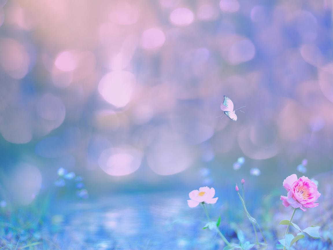 想留住心中的美好究竟是哪首歌? 想留住心中的美好究竟是哪首歌?